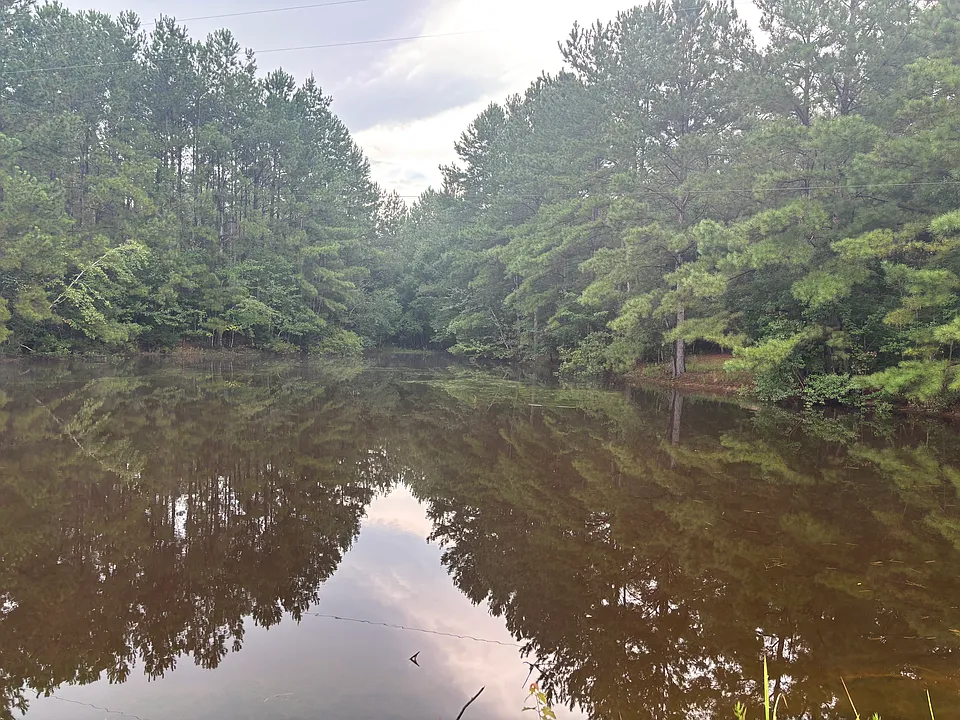 4286 Road 319