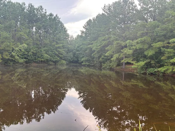 4286 Road 319, Perkinston, MS 39573