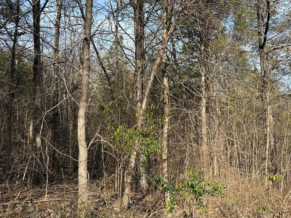 2nd image of 000 Bluff Road