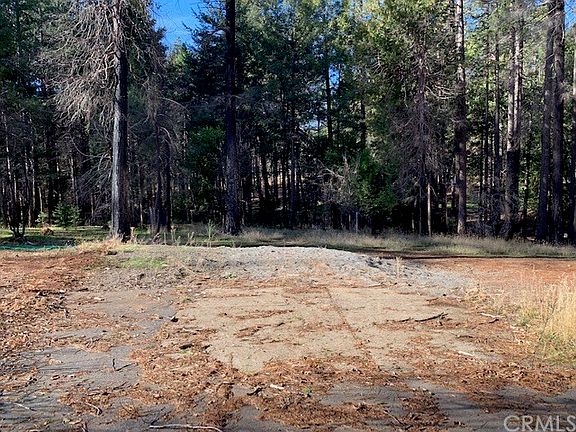 2nd image of 14013 Pineland Cir