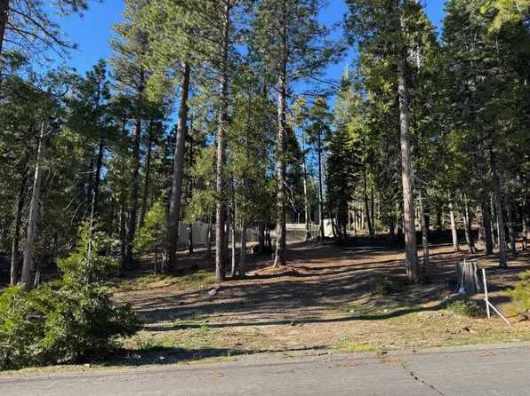 42521 Opal Ln, Shaver Lake, CA 93664