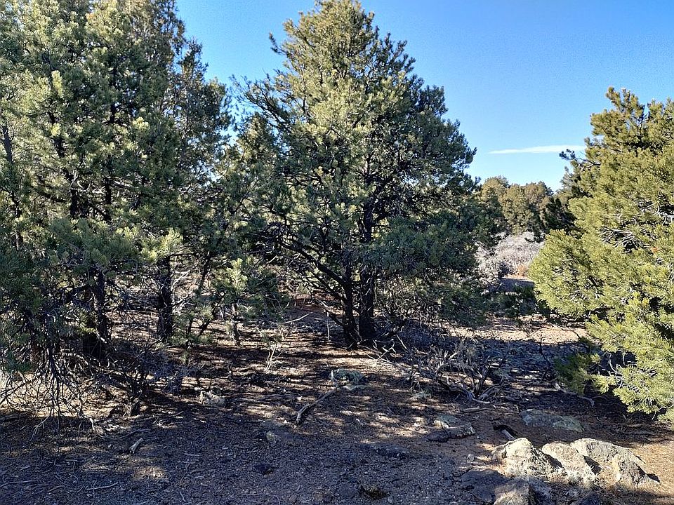 1st image of Overland Way