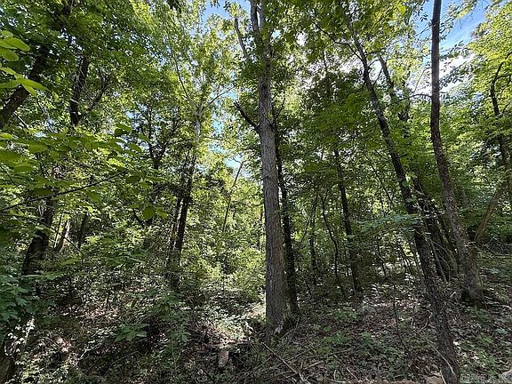 2nd image of County Road 6011