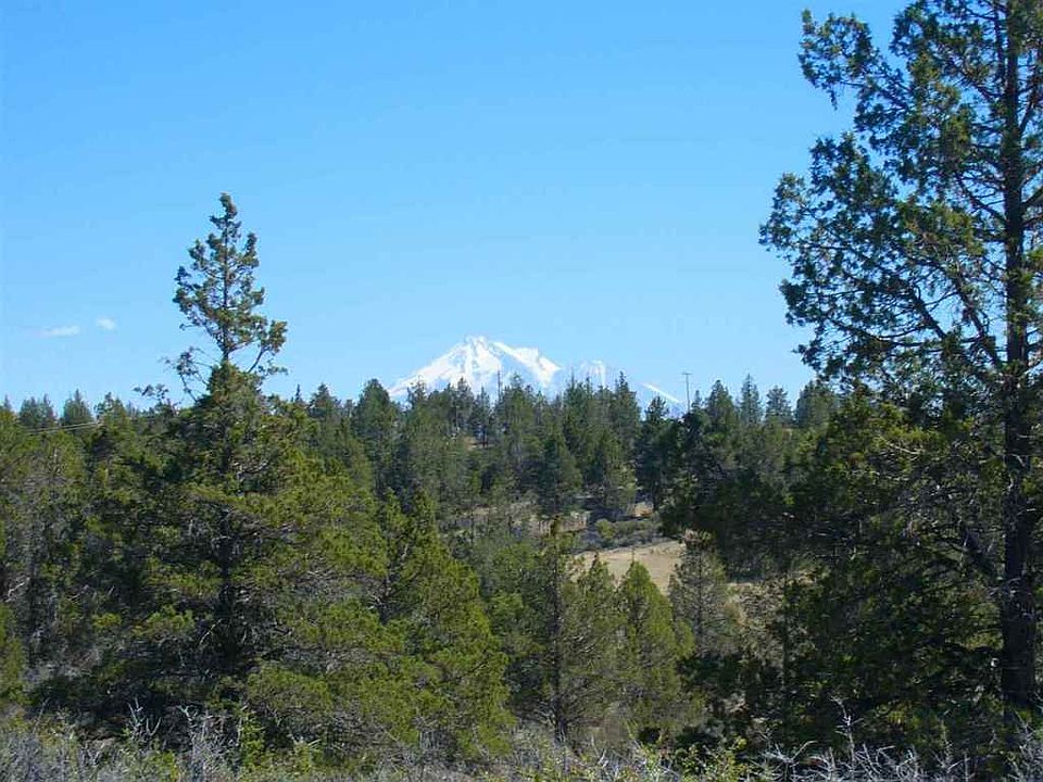 1st image of Canary Ln