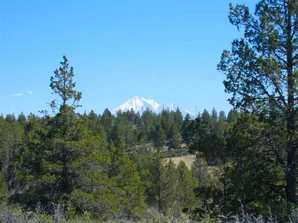 Canary Ln, Hornbrook, CA 96044