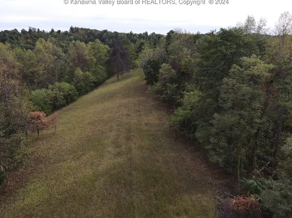5258 Locust Ridge Rd, Leon, WV 25123