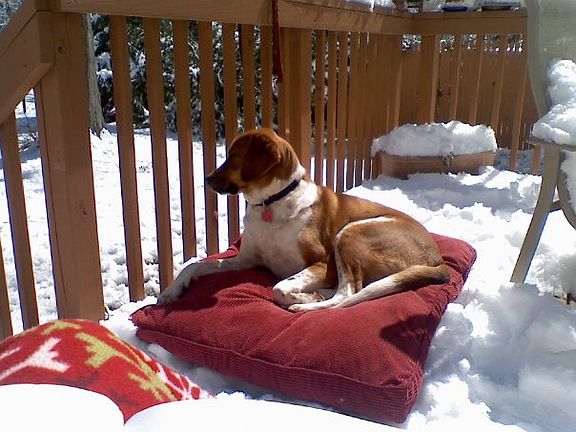 CB loves his back deck