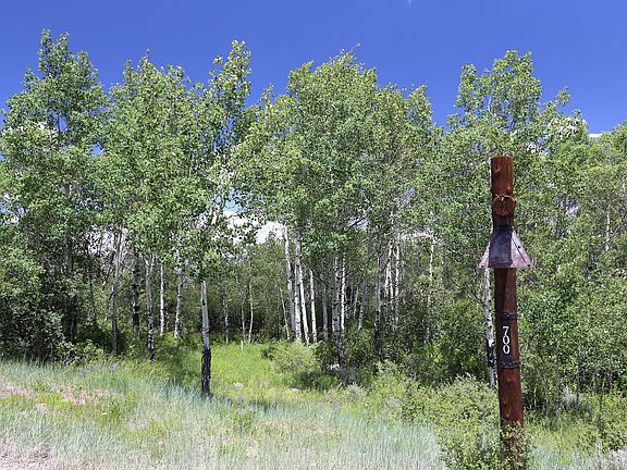 3rd image of 700 Aspen Bluff Ln