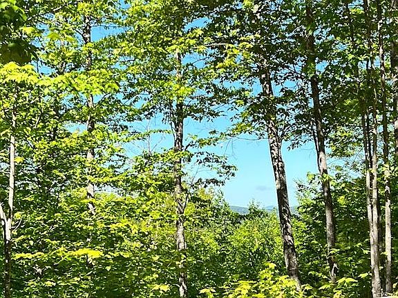 2nd image of Lot #31A McDaniels Road