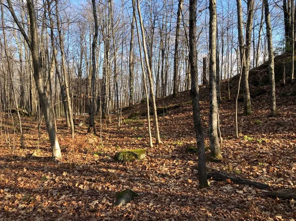Outlot 2 Zugspitz Dr, Upson, WI 54565