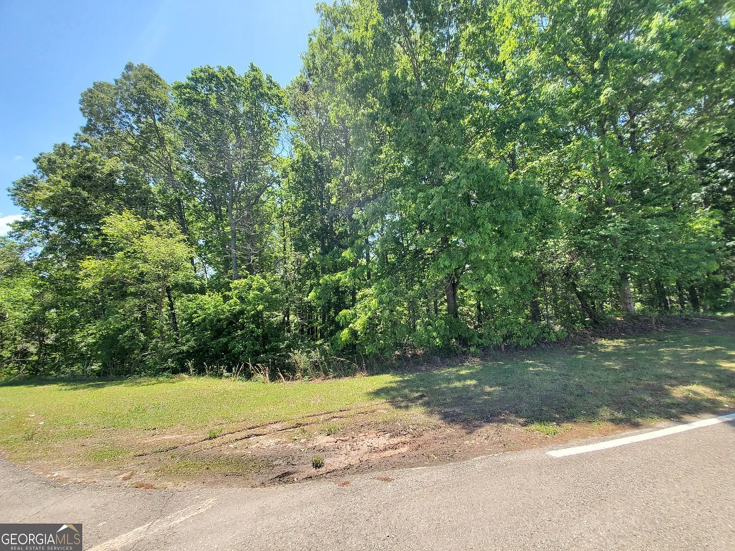 104 Hogan Pond Ln photo 1