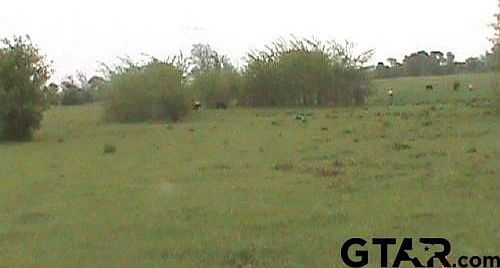5th image of 197.459 County Road 2436
