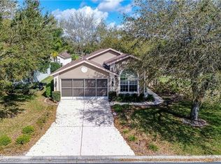 11287 Heathrow Ave, Spring Hill, FL 34609