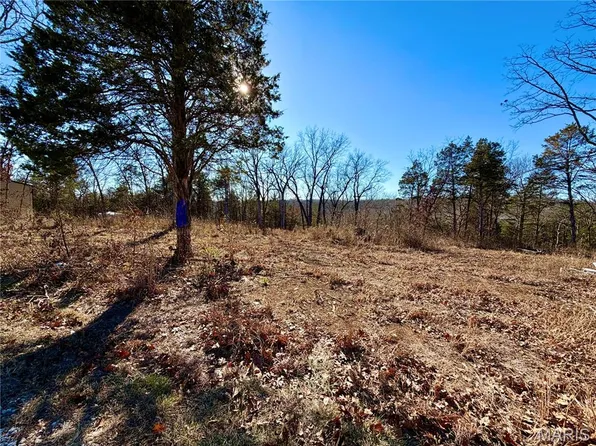 1036 Ridge Rd, De Soto, MO 63020