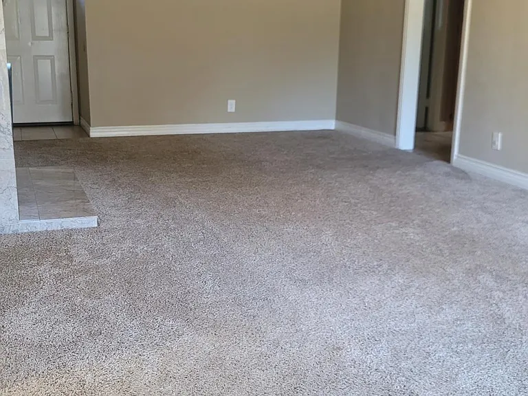 1429 Woodland Dr — Photo 6
