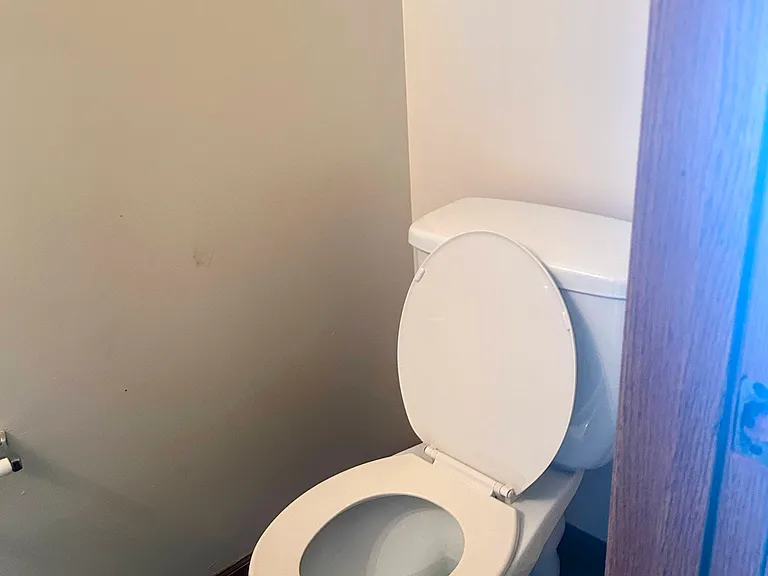 Downstairs half bathroom toilet