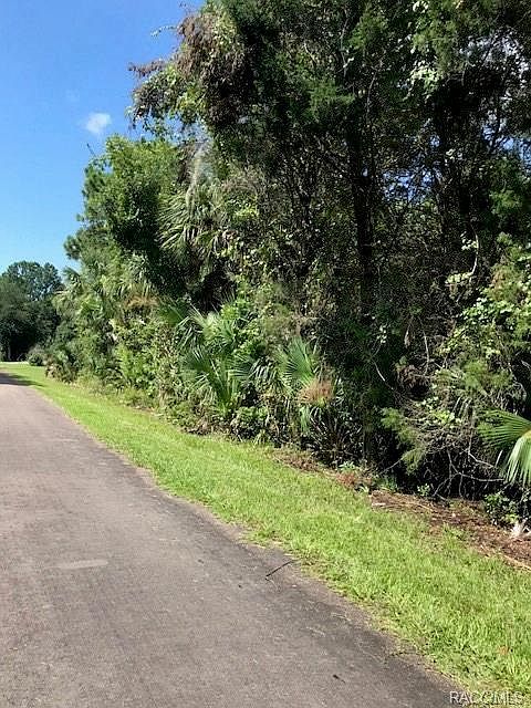 1st image of 1103 N Fan Palm Poin