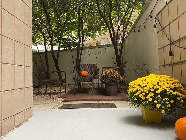 Your backyard