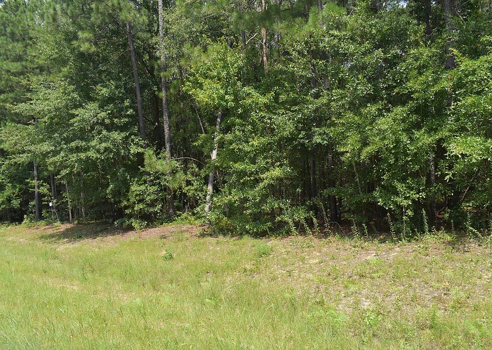 49 Willow Oak Ln, Garfield, GA 30425 Zillow