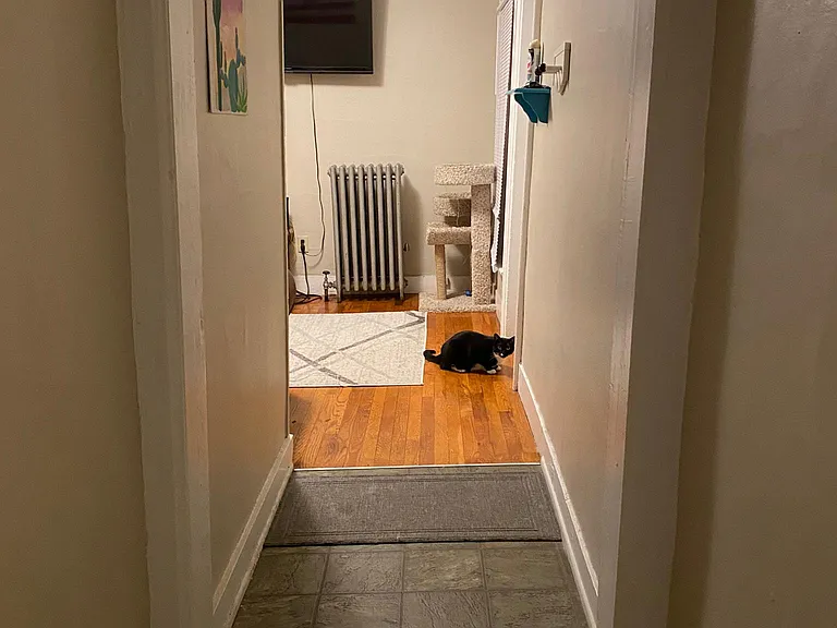 22 Orchard St #3 — Photo 6