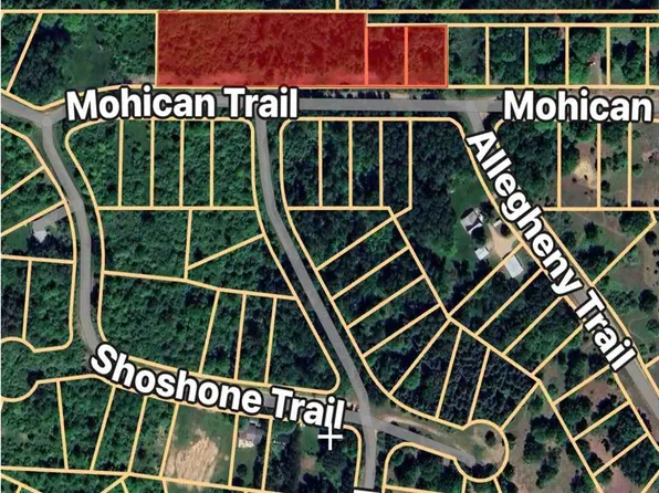 0 Mohican Trl, Evart, MI 49631