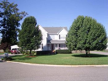 Street View Front
