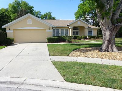 9003 Oakcrest Cir, Mount Dora, FL, 32757