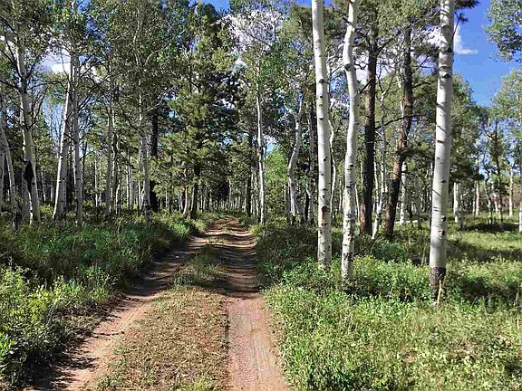 3rd image of 17805 Ponderosa Glade Rd
