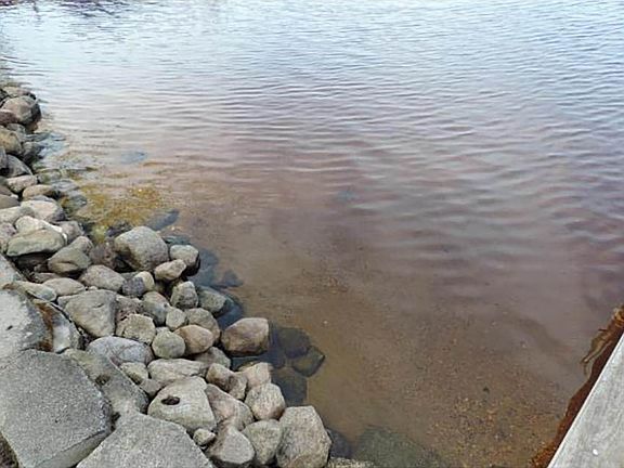 Sandy Beach Frontage