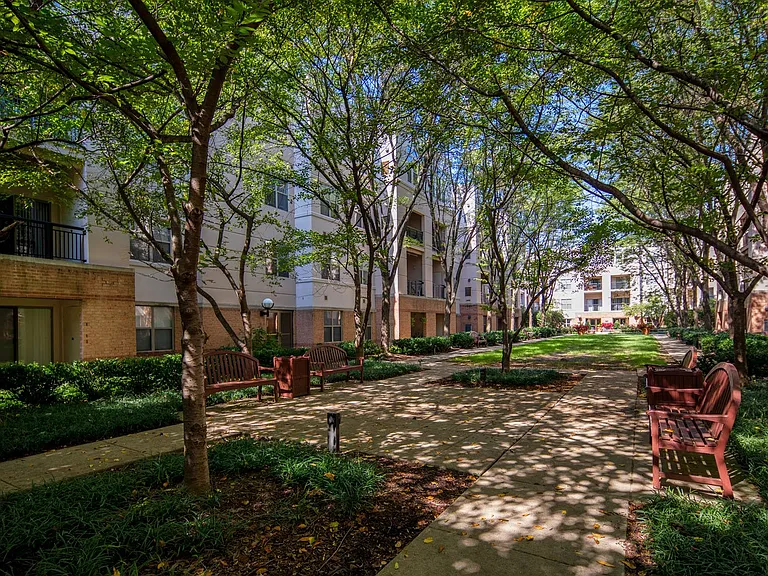 Strathmore Court at White Flint — Photo 17
