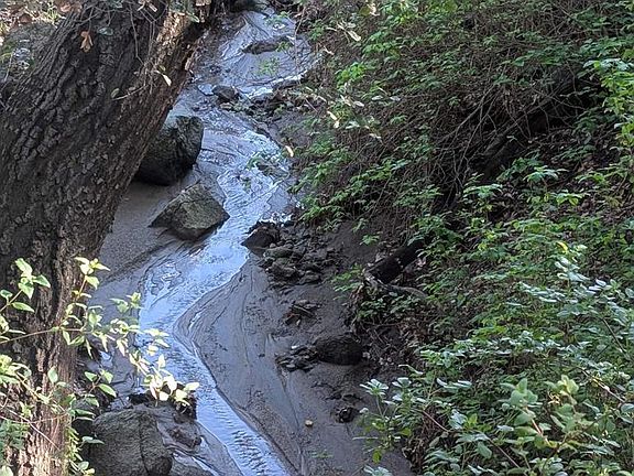 2nd image of 18868 Paradise Mountain Rd