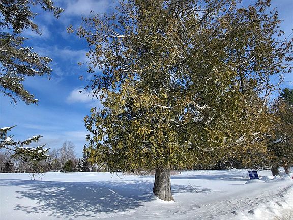 5th image of 000 Mountain View Road