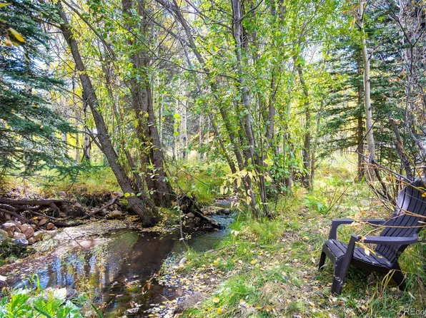 531 Caribou Road, Nederland, CO 80466