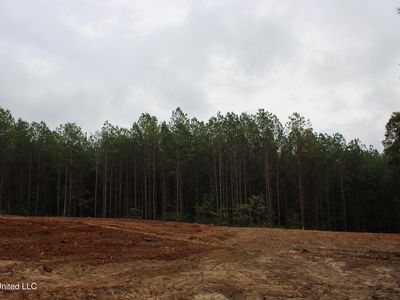 601 County Road 442, Oxford, MS, 38655