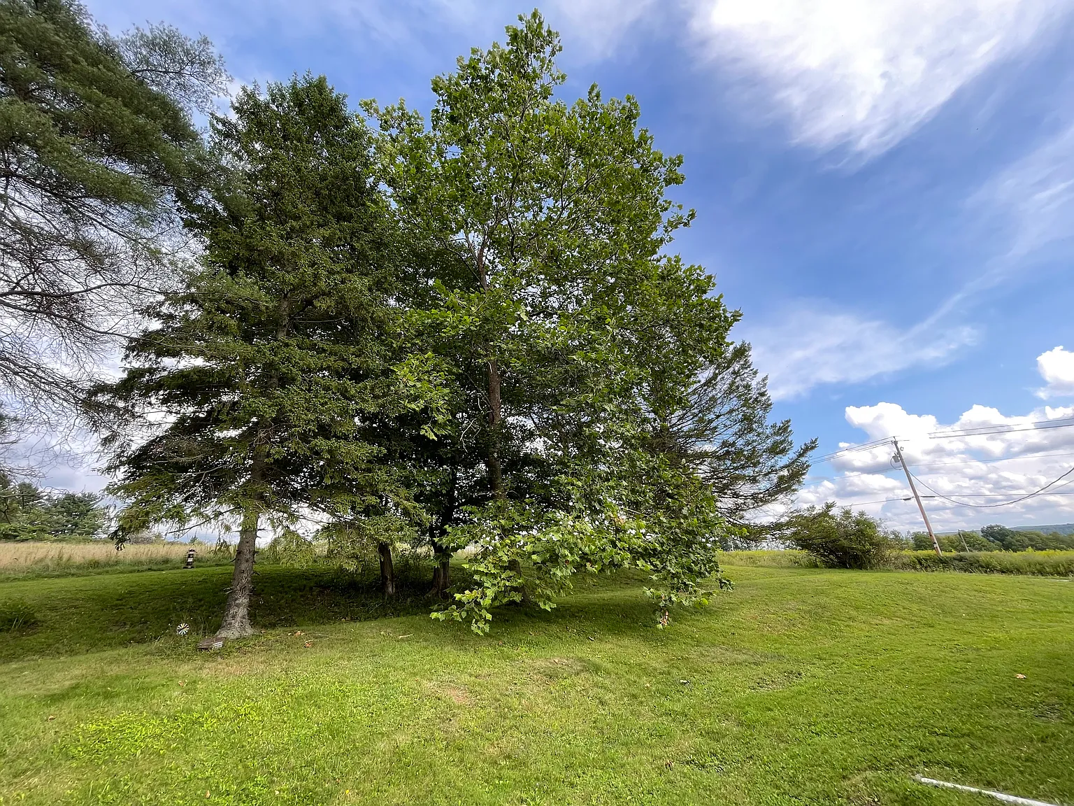 Orr St, Jamestown — Photo 4