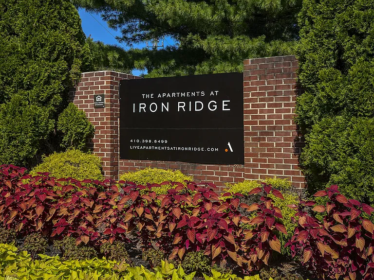 Iron Ridge and Stonegate Apartments — Photo 29