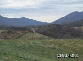 20 & 24 Pearl Mountain Rdg, Leicester, NC 28748