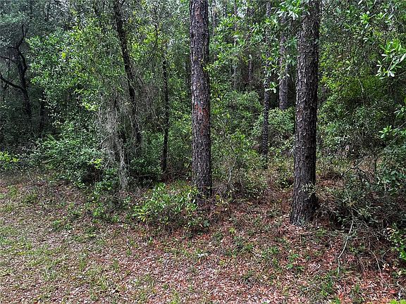 2nd image of SW 186th Ct Lot 9