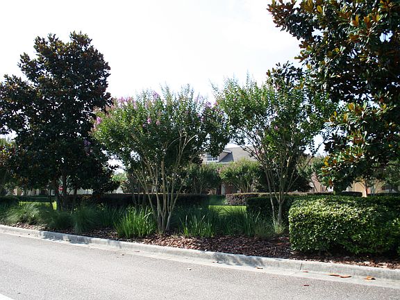 4th image of 14283 Avenue Of The Grvs