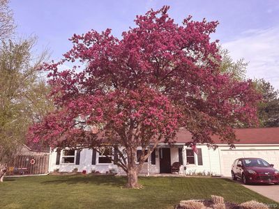 33566 Rhonswood St, Farmington, MI, 48335