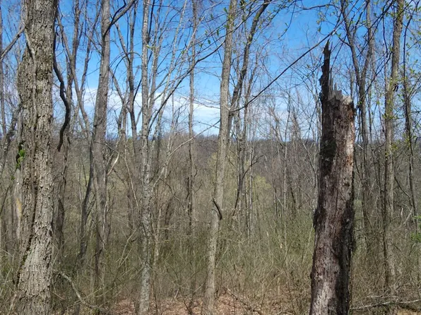 Gw Ln, Ronceverte, WV 24970