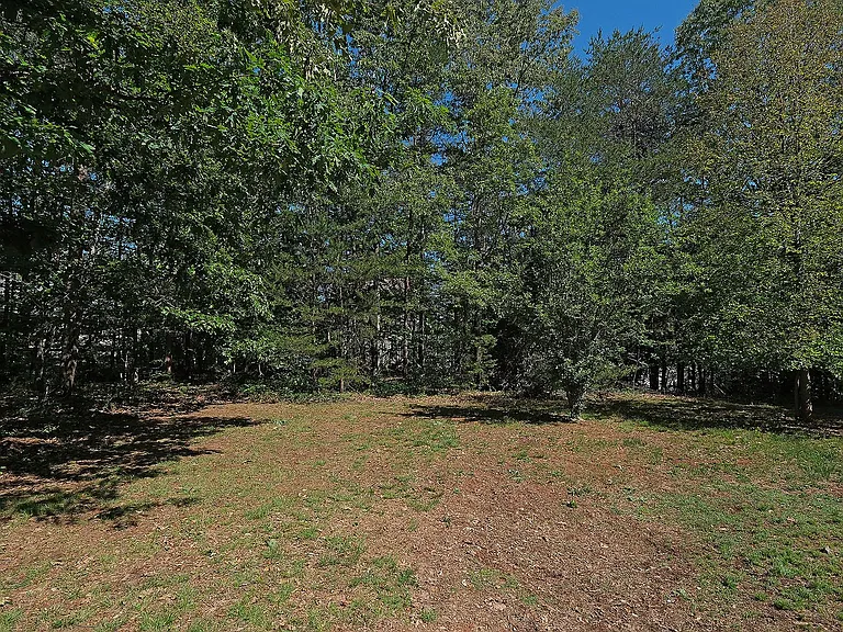 26 Begum Rd — Photo 10