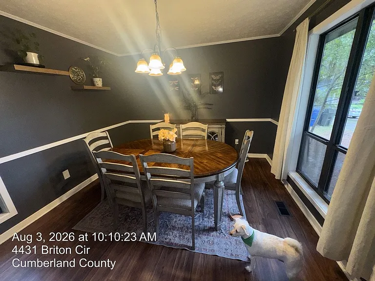 4431 Briton Cir — Photo 8