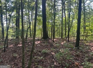 Wendy Hill Rd, Talking Rock, GA 30175