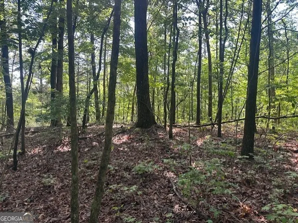 Wendy Hill Rd, Talking Rock, GA 30175