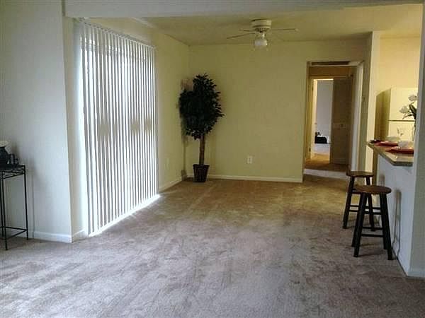 livingroom/dining room/kitchen