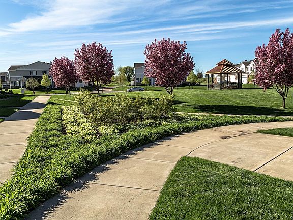 Another view of backyard