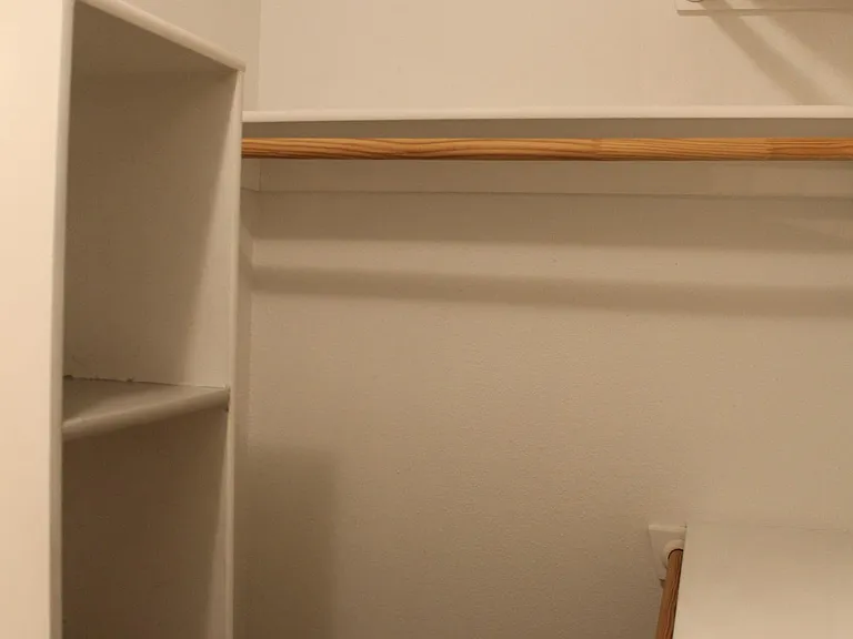 Primary closet, new carpet and paint