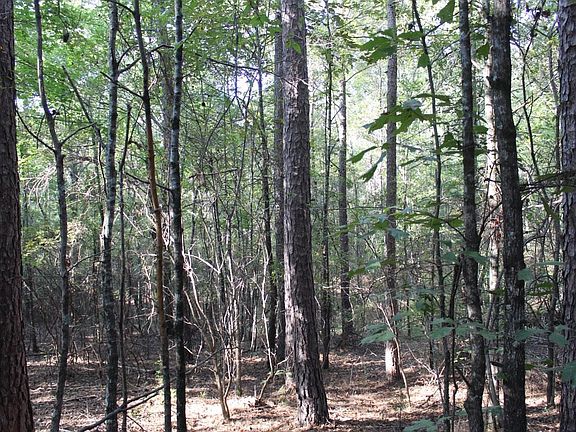 5th image of 2642 Attala Road 4045