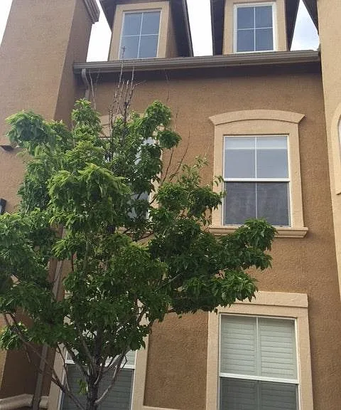 17000 Wedge Pkwy #424 — Photo 9